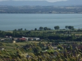 P1020058