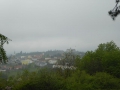 P1010564