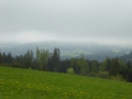 P1010642