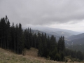 P1010690