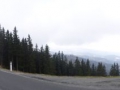P1010692