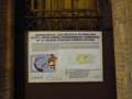 P1000755