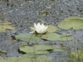 P1300652