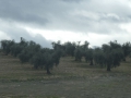 P1150893