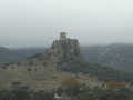P1150943