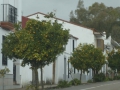 P1150955