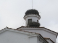 P1150974