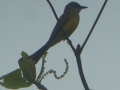 P1210024