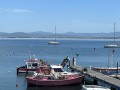IMG_0578