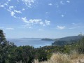 IMG_0591