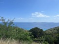 IMG_0593