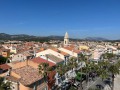 IMG_7810