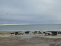 P1060870