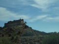 P1030141