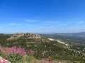 IMG_0603