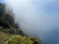 IMG_0614