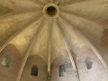 IMG_0742