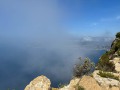 IMG_7869