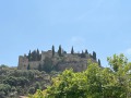 IMG_7878