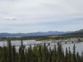 P1070560