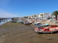 IMG_2476