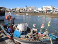 IMG_2488