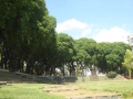 P1370462