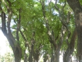 P1370468