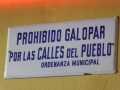 P1370638