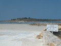 P1290190