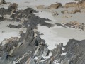 P1290204