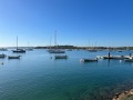 IMG_9108