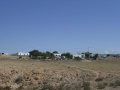 P1100046