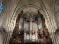 IMG_2607