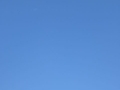 P1000695