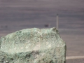 P1270472