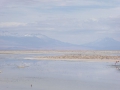 P1050799