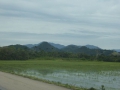 P1210331