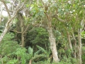 P1210399