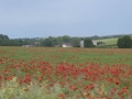 P1140249