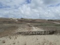 P1230088