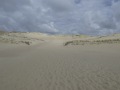 P1230102
