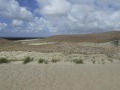 P1230112