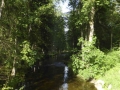 P1170506