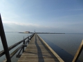 P1000762