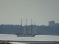 P1000911