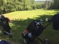 Foto 08.05.18, 12 35 08