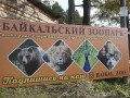 P1040837