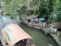 IMG_5509