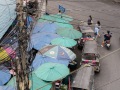 IMG_5526